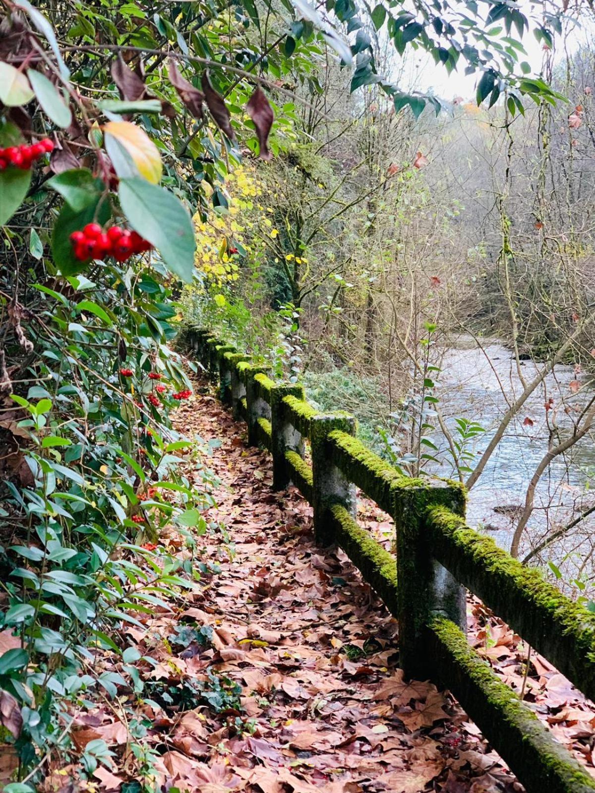 Balneario Casa Pallotti カランサ エクステリア 写真